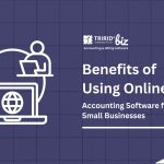 Online Accounting Software